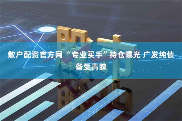 散户配资官方网 “专业买手”持仓曝光 广发纯债备受青睐