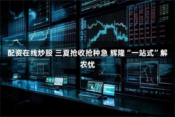 配资在线炒股 三夏抢收抢种急 辉隆“一站式”解农忧